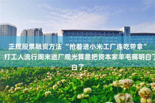 正规股票融资方法 “抢着进小米工厂连吃带拿”，打工人流行周末进厂观光算是把资本家羊毛薅明白了