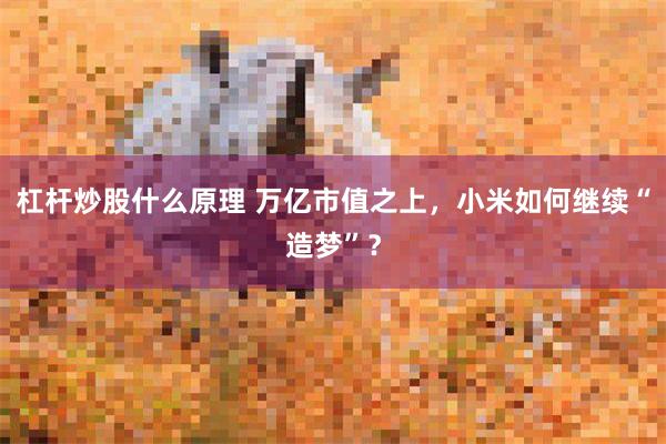 杠杆炒股什么原理 万亿市值之上，小米如何继续“造梦”？