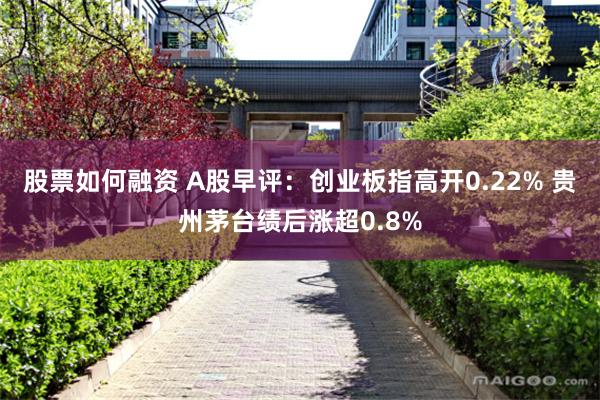 股票如何融资 A股早评：创业板指高开0.22% 贵州茅台绩后涨超0.8%