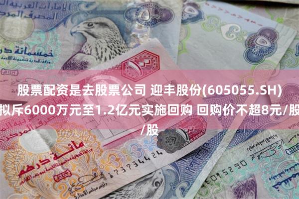 股票配资是去股票公司 迎丰股份(605055.SH)拟斥6000万元至1.2亿元实施回购 回购价不超8元/股