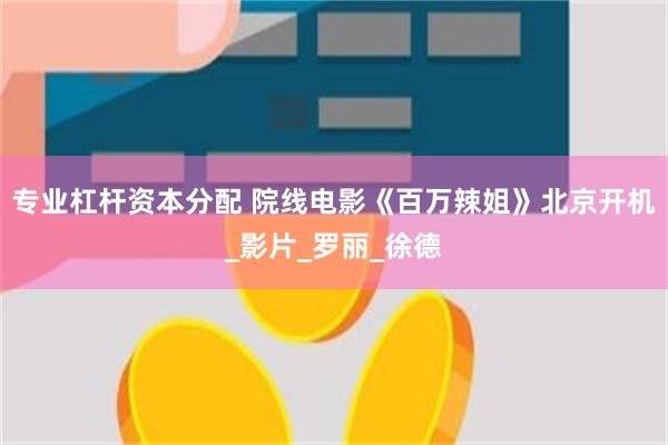 专业杠杆资本分配 院线电影《百万辣姐》北京开机_影片_罗丽_徐德