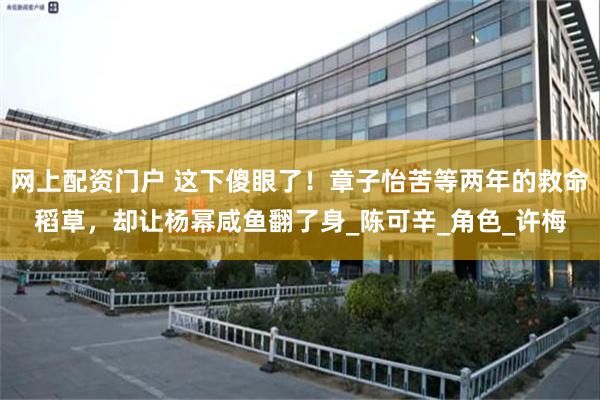 网上配资门户 这下傻眼了！章子怡苦等两年的救命稻草，却让杨幂咸鱼翻了身_陈可辛_角色_许梅